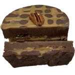 Turtle Fudge