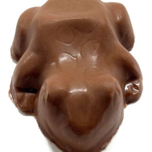 Chocolate Frogs